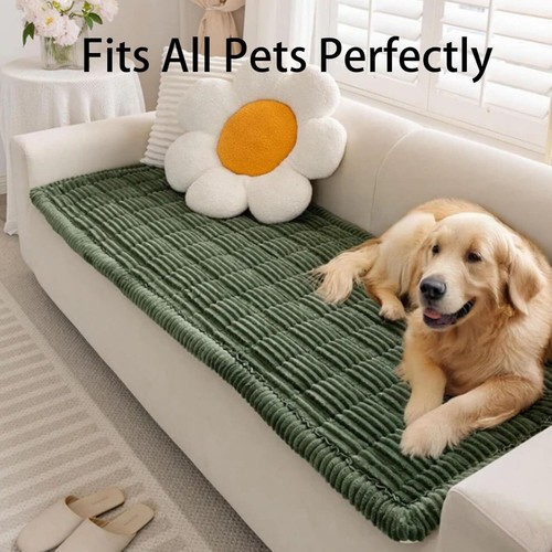 Paw lounge plush - plush, pet